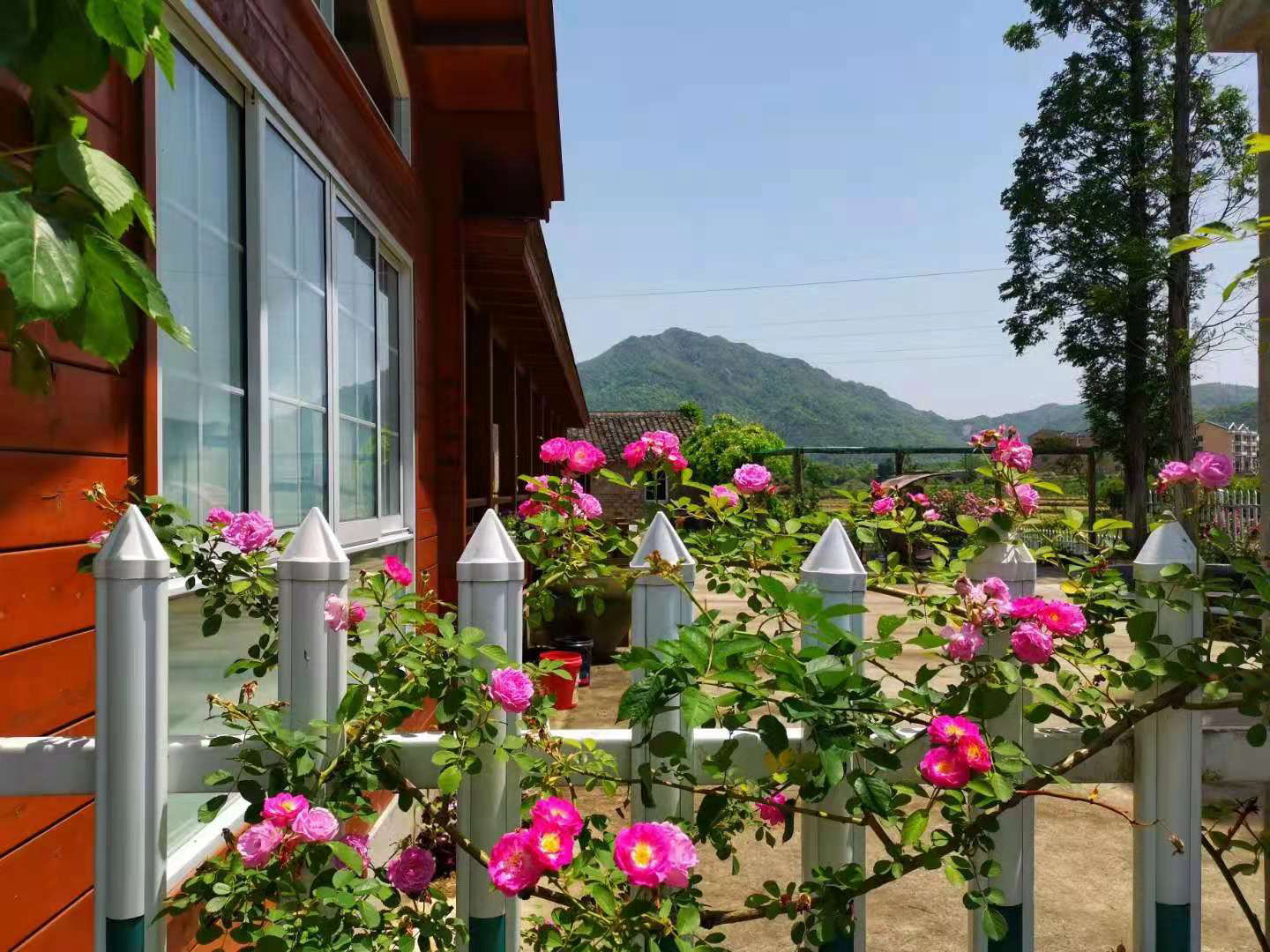 木屋別墅案例